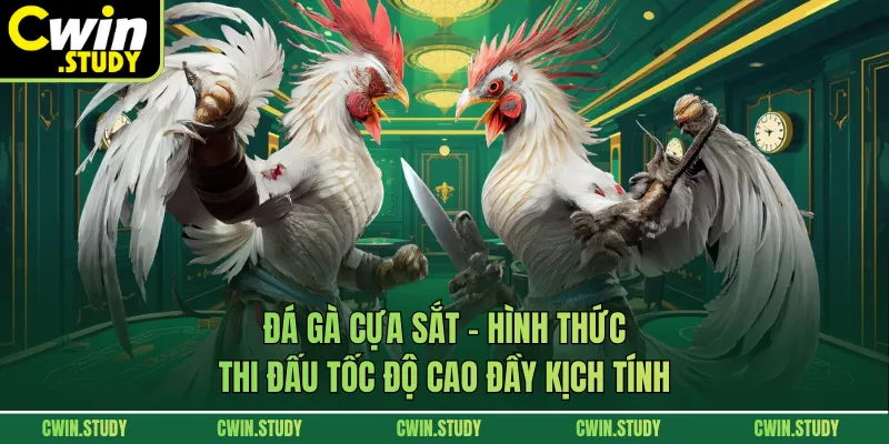 Đá Gà Cựa Sắt – Hình Thức Thi Đấu Tốc Độ Cao Đầy Kịch Tính
