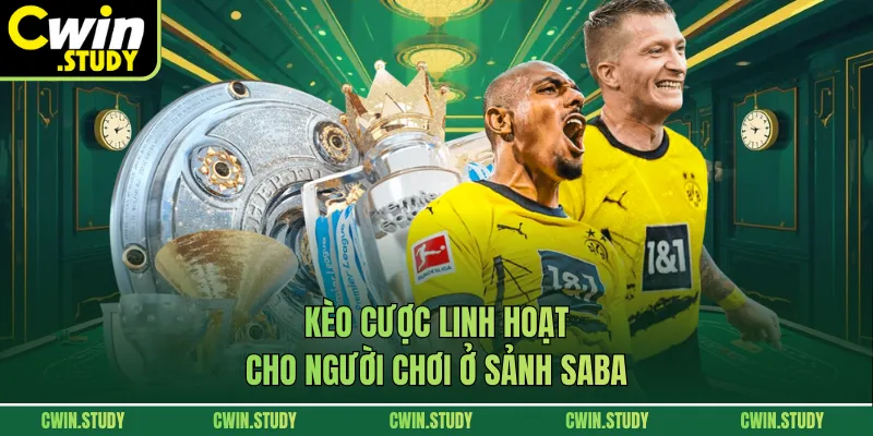 Kèo cược linh hoạt cho người chơi ở sảnh SABA