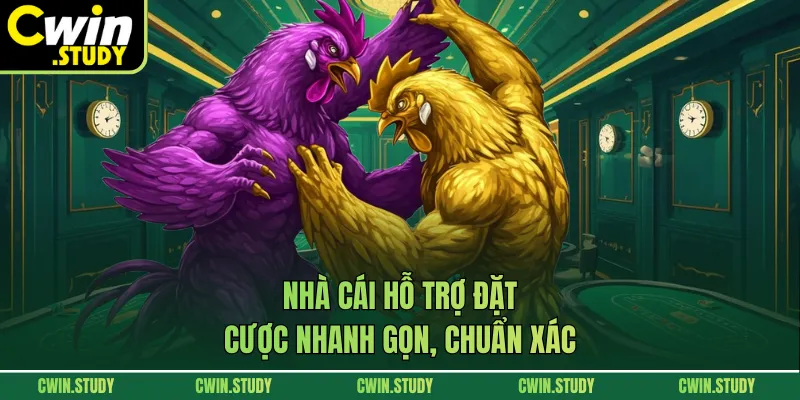 Nhà cái hỗ trợ đặt cược nhanh gọn, chuẩn xác