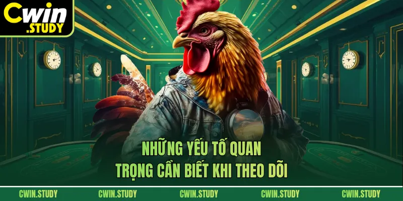 Những yếu tố quan trọng cần biết khi theo dõi