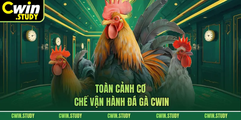 Toàn cảnh cơ chế vận hành đá gà CWIN